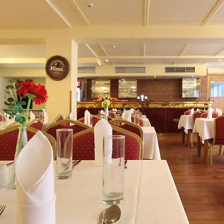 Hotel Albion Praag