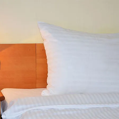 Albion Hotell