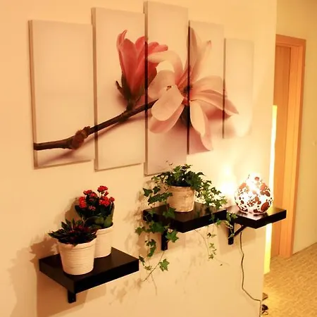 Albion Hotell 4*